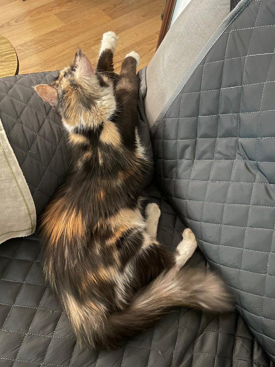 ♱ micha tweet media