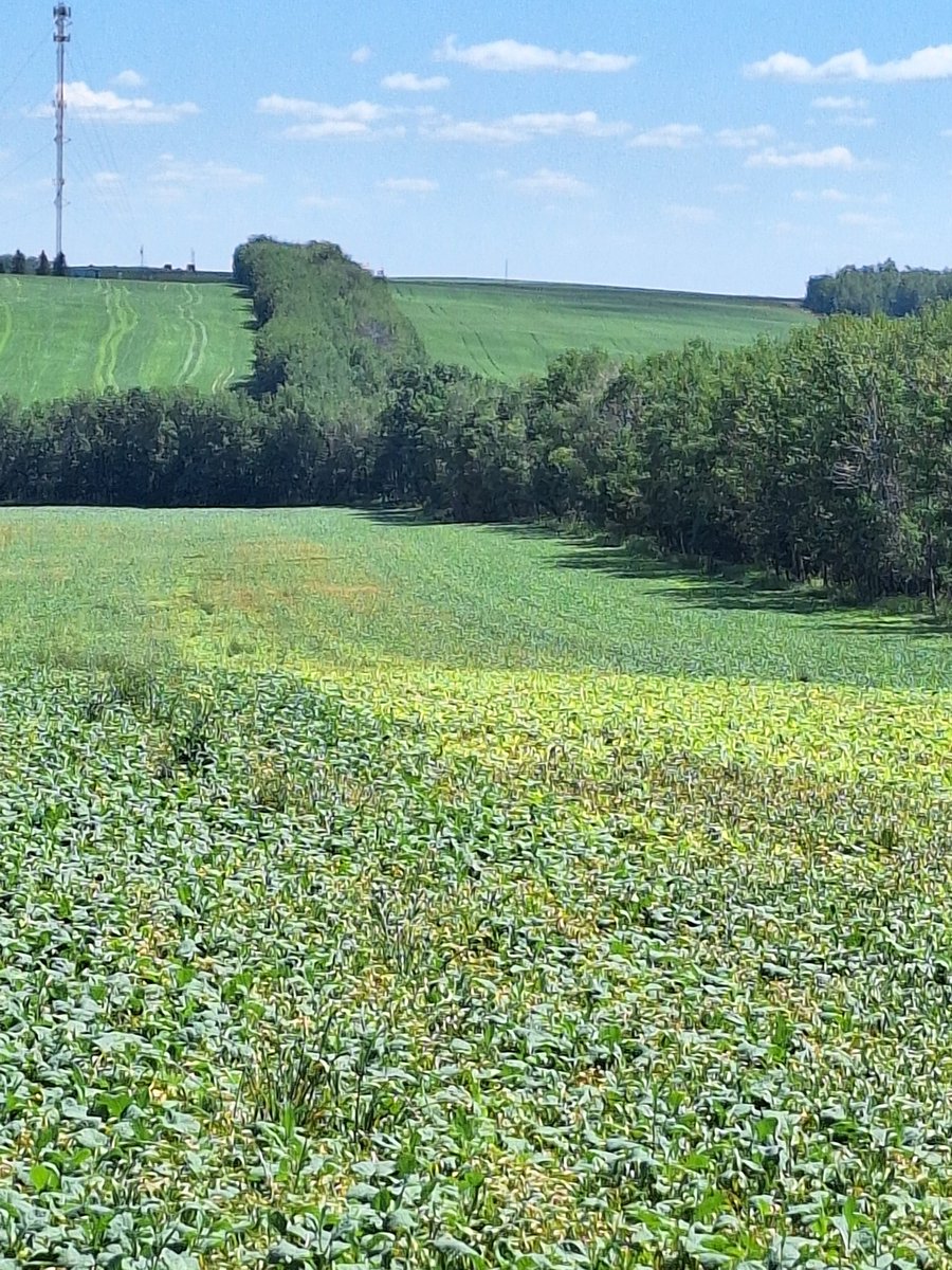 Robyn Gerrard tweet media