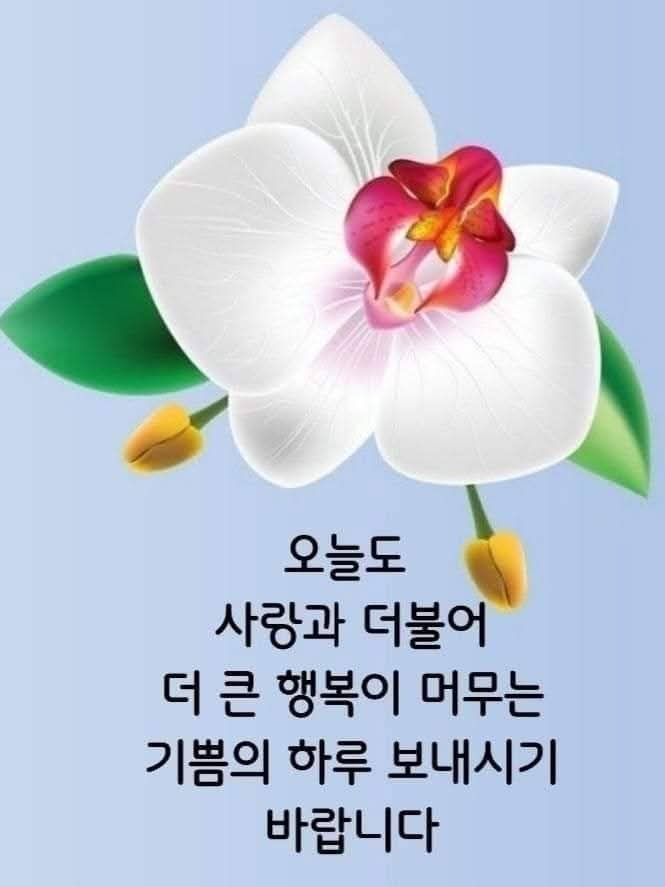 sejong ㅡ NEWS 전월 (@imheonbae) on Twitter photo 