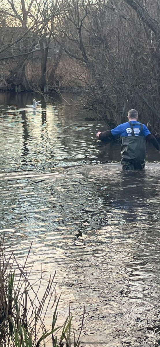 Olimpic100's tweet photo. No job too big for #olimpicwindows. Bird rescued from fishing wire in the park today- poor bird tangled up. Big set of waders and off he went to save the day❤️. Well done!!! 👍 👏 🦅 https://t.co/PIAkH2bKFo