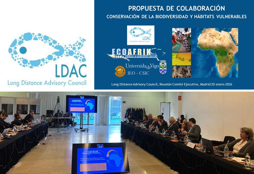 EcoAfrik Platform tweet media