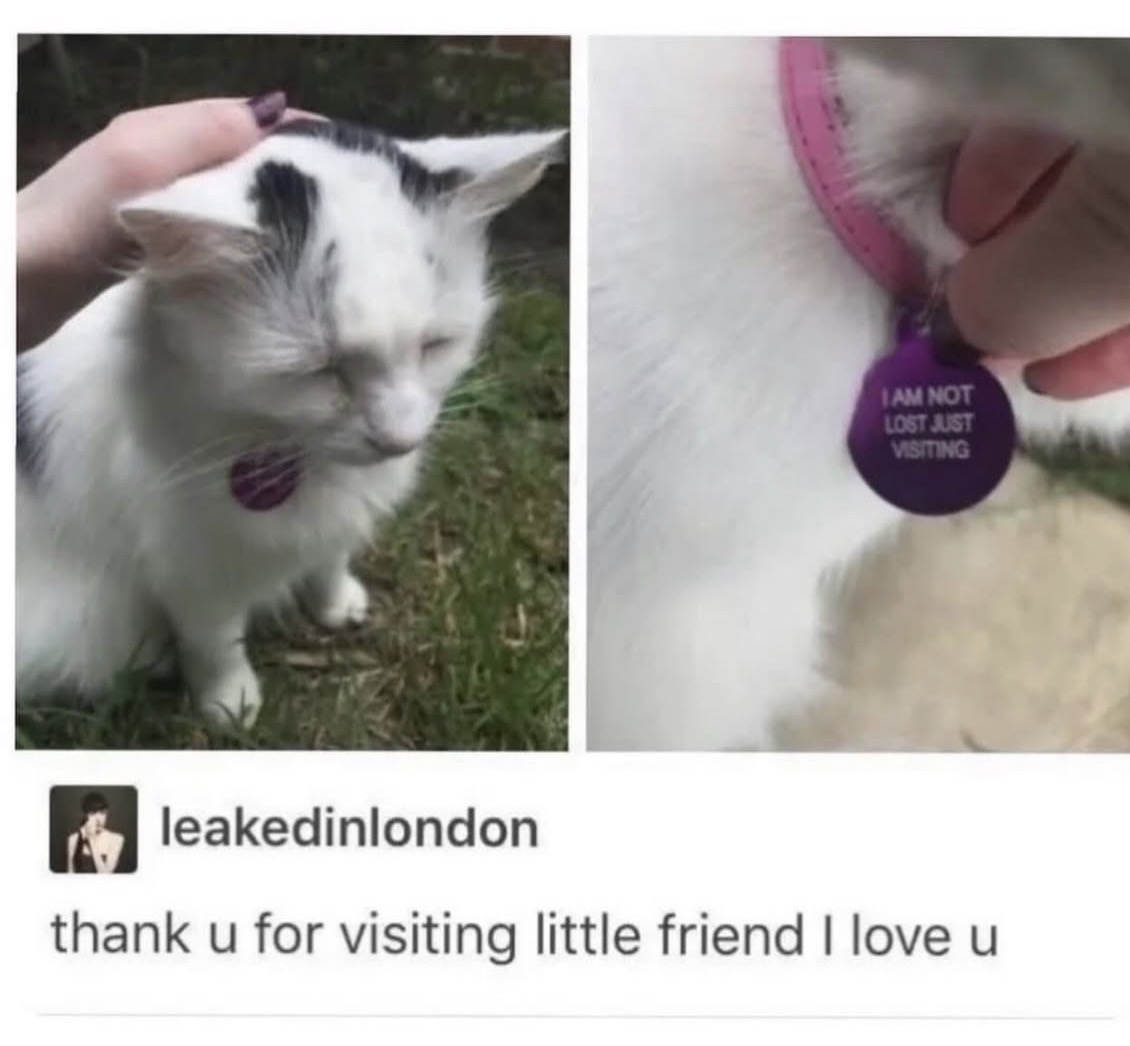 PowerfulAuraX's tweet image. 