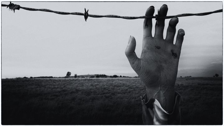 Art of the Day! "Never again". Buy at: ArtPal.com/coronagilles?i…