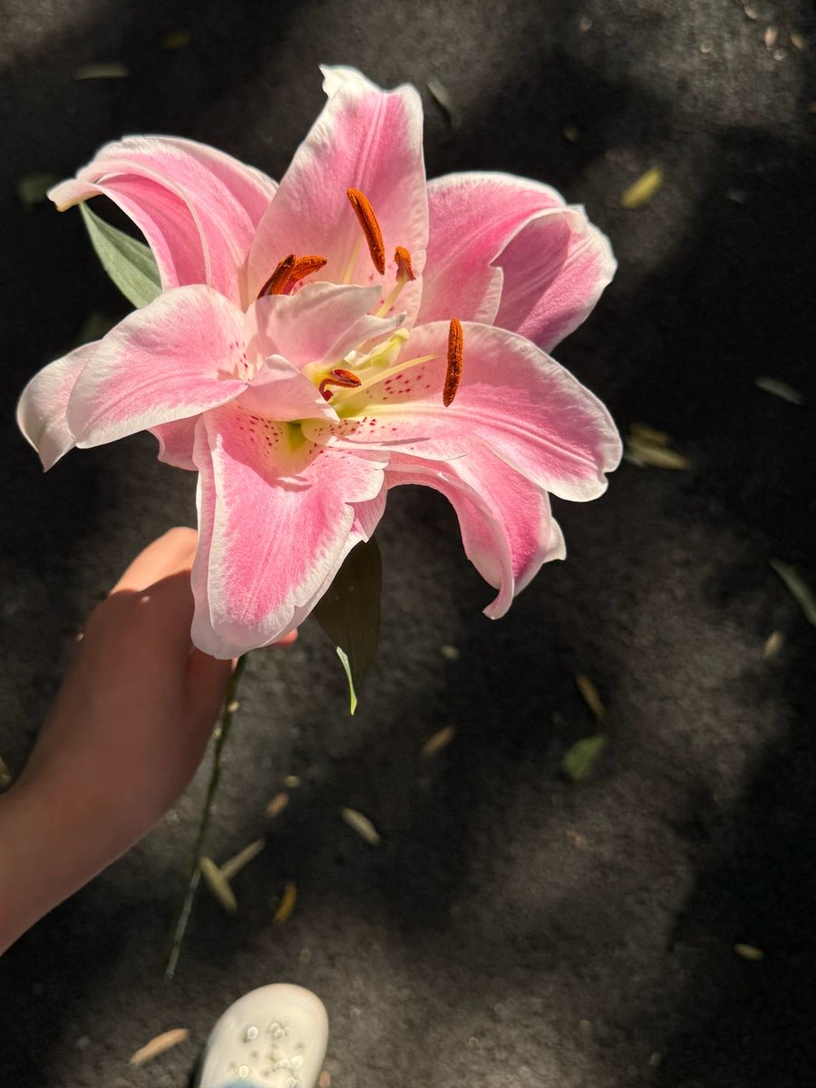 inreuo's tweet image. 