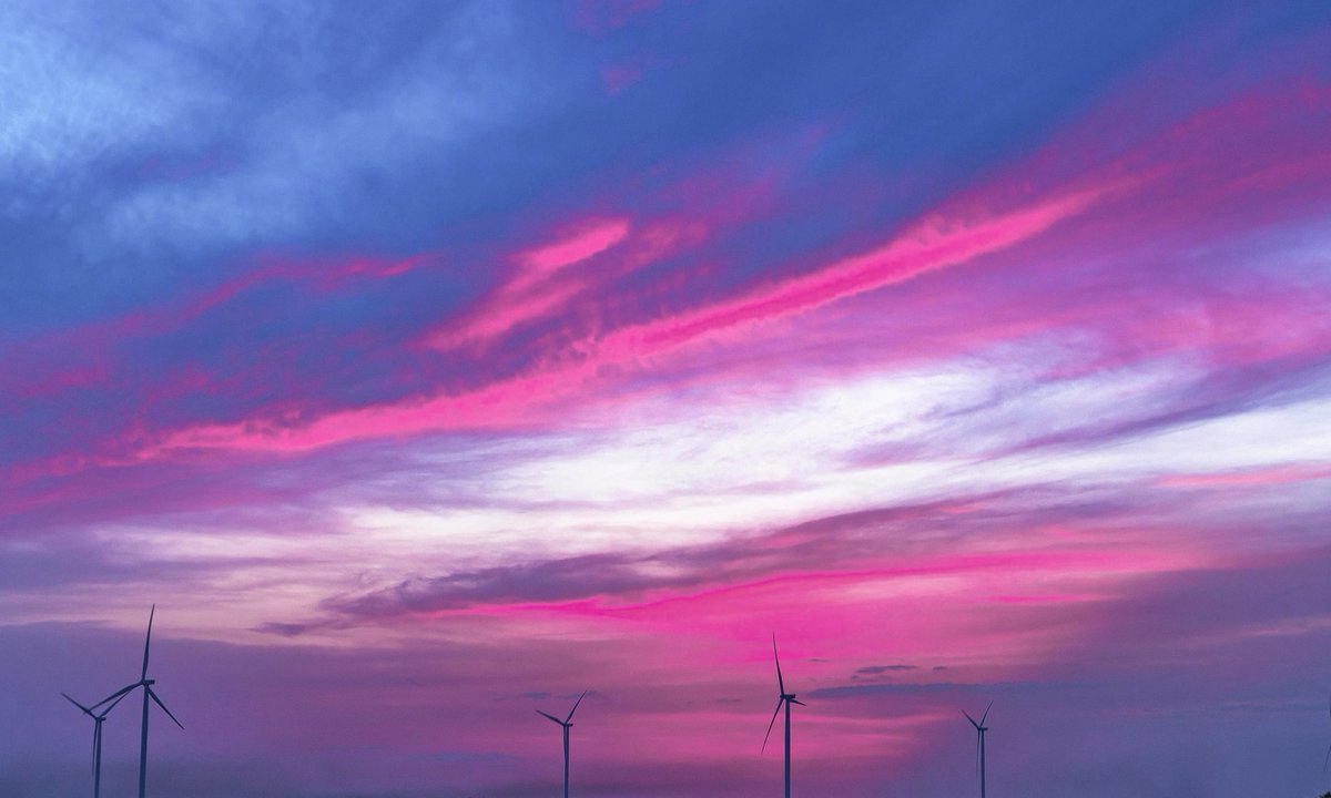 gardenofcolours's tweet image. 