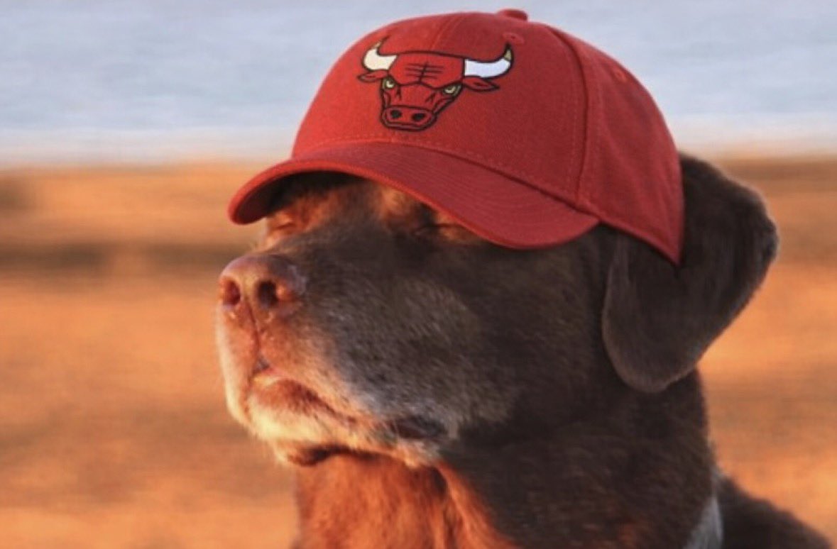 We really about to make a push for the play-in the season there’s a influx of crazy talent in the draft #Bulls