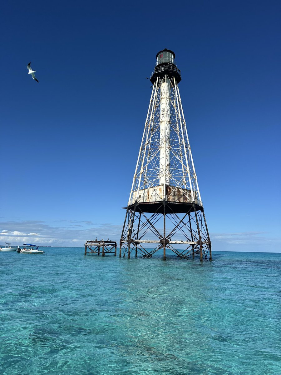 Chip Michalove tweet media