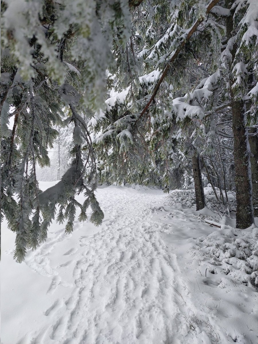 jerome_grangier's tweet image. Quand tu as la chance de travailler dans un endroit extraordinaire ❄️☃️ #Pilat #neige