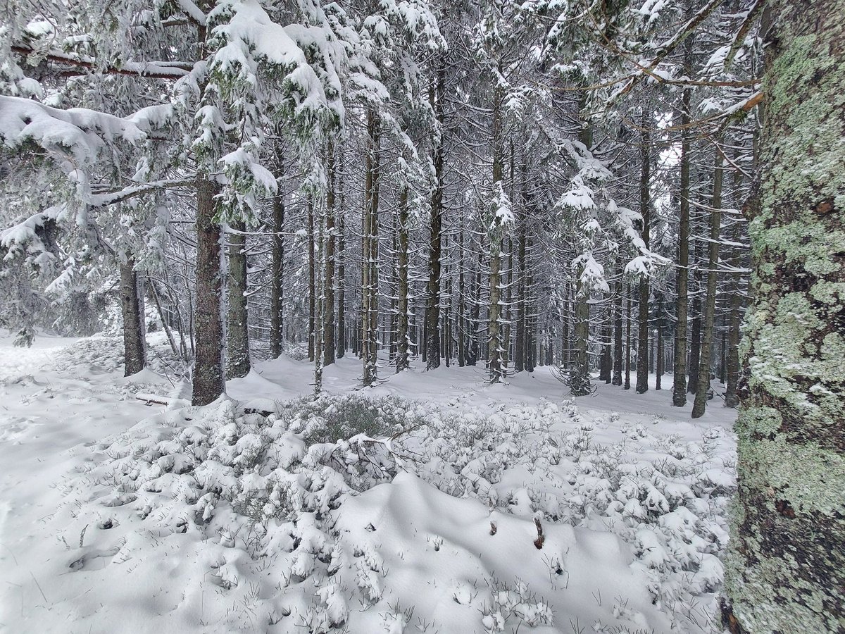 jerome_grangier's tweet image. Quand tu as la chance de travailler dans un endroit extraordinaire ❄️☃️ #Pilat #neige