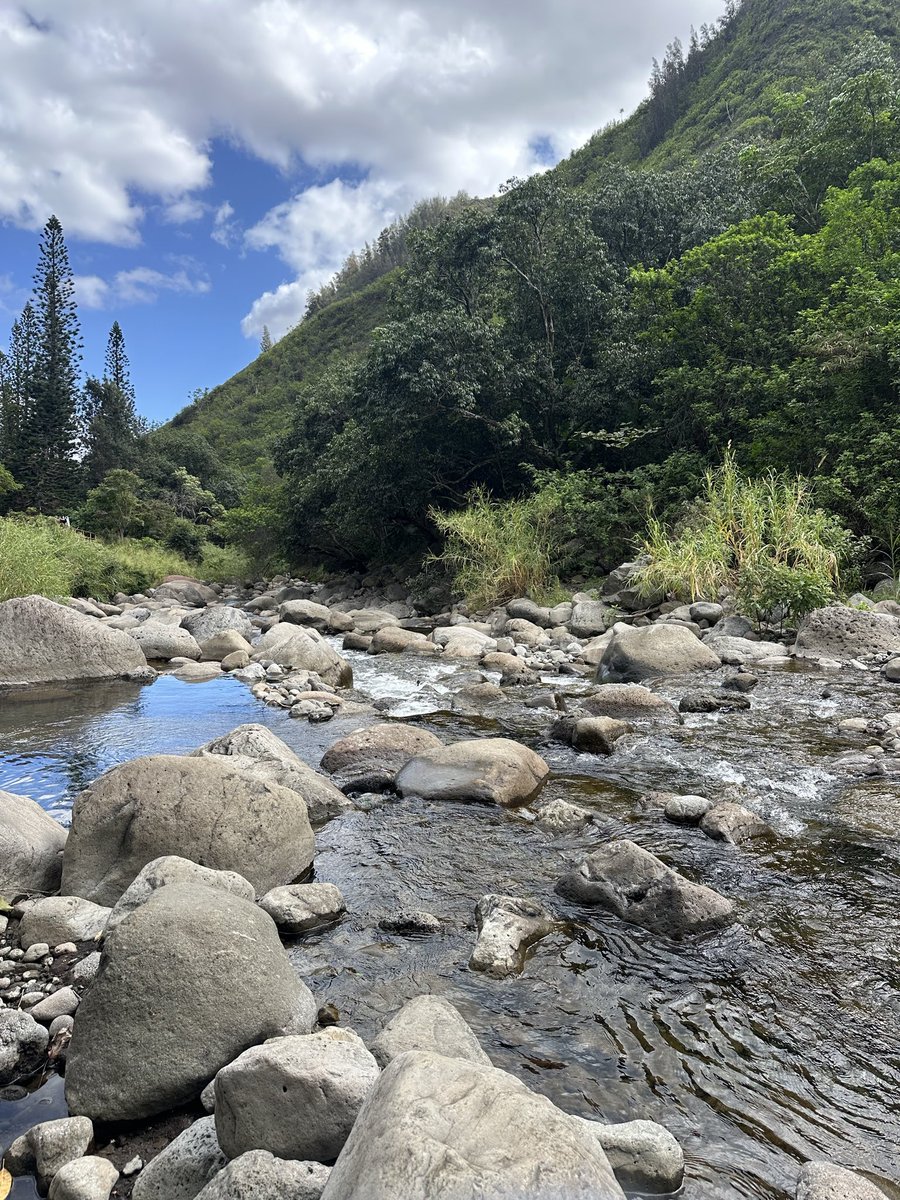 Goin up can’t crash na.