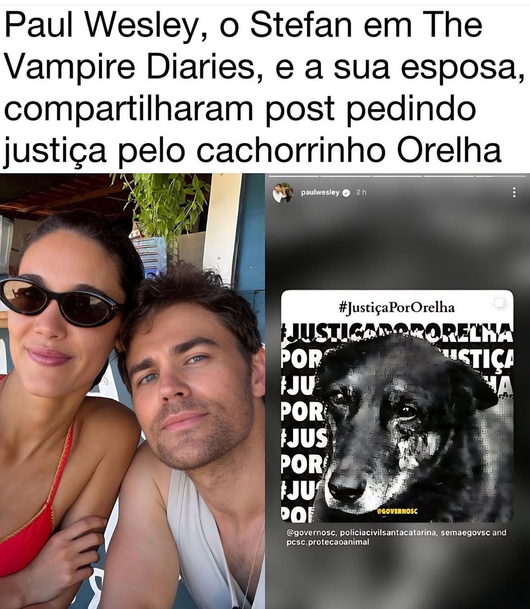 enf_intensiva's tweet image. Orelhinha ganhou o mundo 😢😢😢🐕🐕🐕🖤🖤🖤🖤🖤
#JustiçaPorOrelha