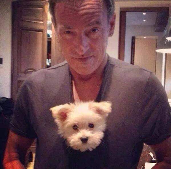 1StevieKilner's tweet image. Bruce Springsteen's ability to sculpt his chest hair into cute animal shapes is NEXT. LEVEL.
I can see why they call him "The Boss".