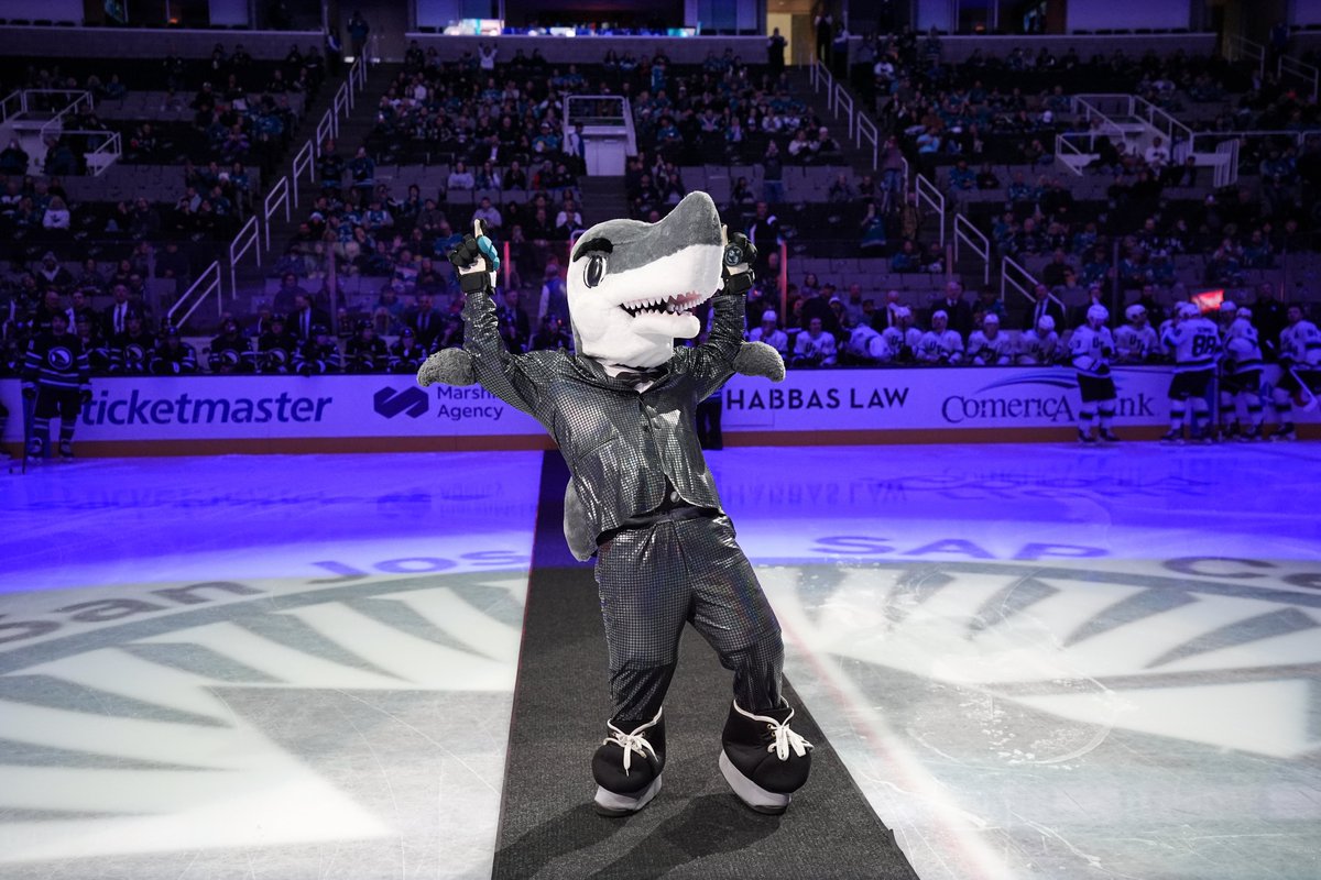 SanJoseSharks's tweet photo. Happy birthday to everyone's favorite fish, @sjsharkie! 🎉💙 https://t.co/wnizMP2pGN