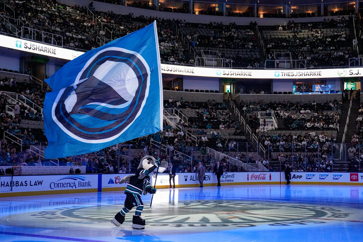 SanJoseSharks's tweet photo. Happy birthday to everyone's favorite fish, @sjsharkie! 🎉💙 https://t.co/wnizMP2pGN