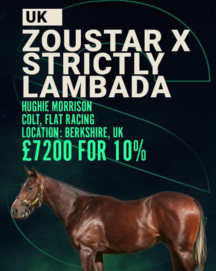 Smart Syndicate tweet media