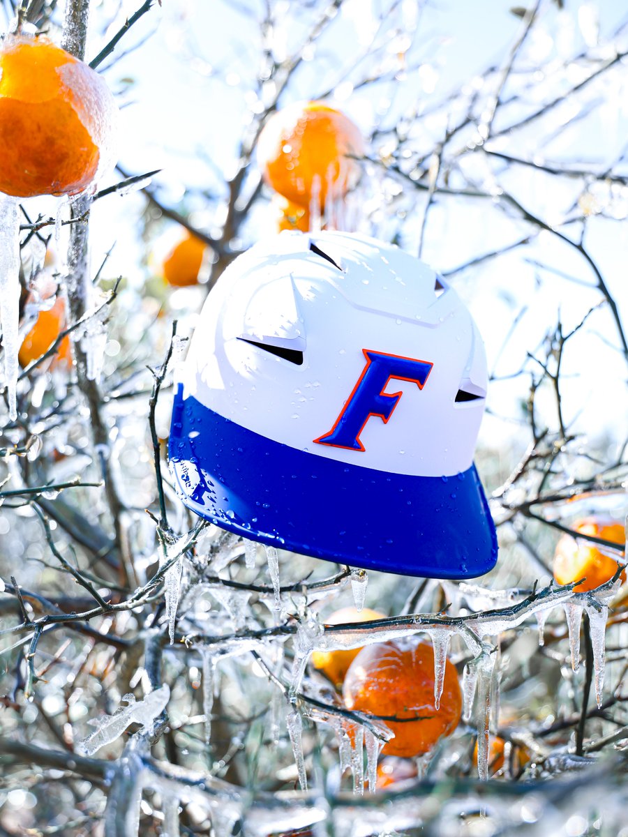 Florida Gators Baseball tweet media