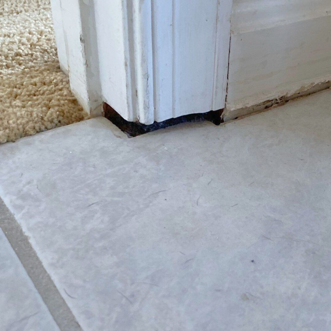 Seaside Crawl Space tweet media