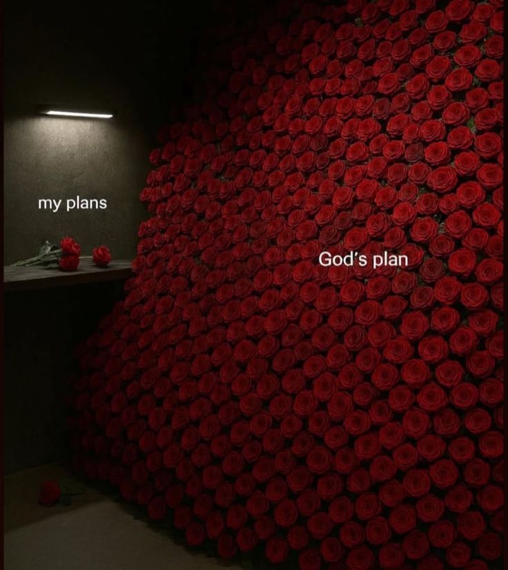 God's plan, alwayyyyyyyyys.