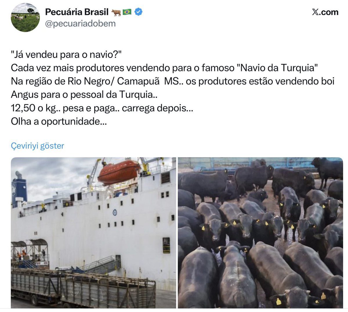 ComezTurhan's tweet image. 🐄“Giderek artan ihtiyacı nedeni ile Türkiye her yıl Brezilya’dan yaklaşık 13 milyar TL’lik sığır ithal edecek!”
👉Geçtiğimiz yıl Nisan ayında, Brezilya Tarım Bakanlığı’ndan yapılan açıklama böyle.
📋Bugünlerde yoğun bir reklam kampanyası var Brezilya’da;
🐄Sığırlarınızı hâlâ şu…