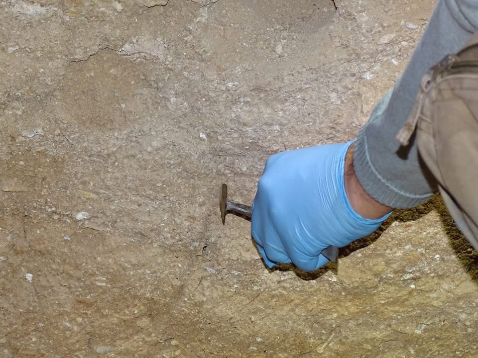 Musée d'Anthropologie préhist. de Monaco tweet media