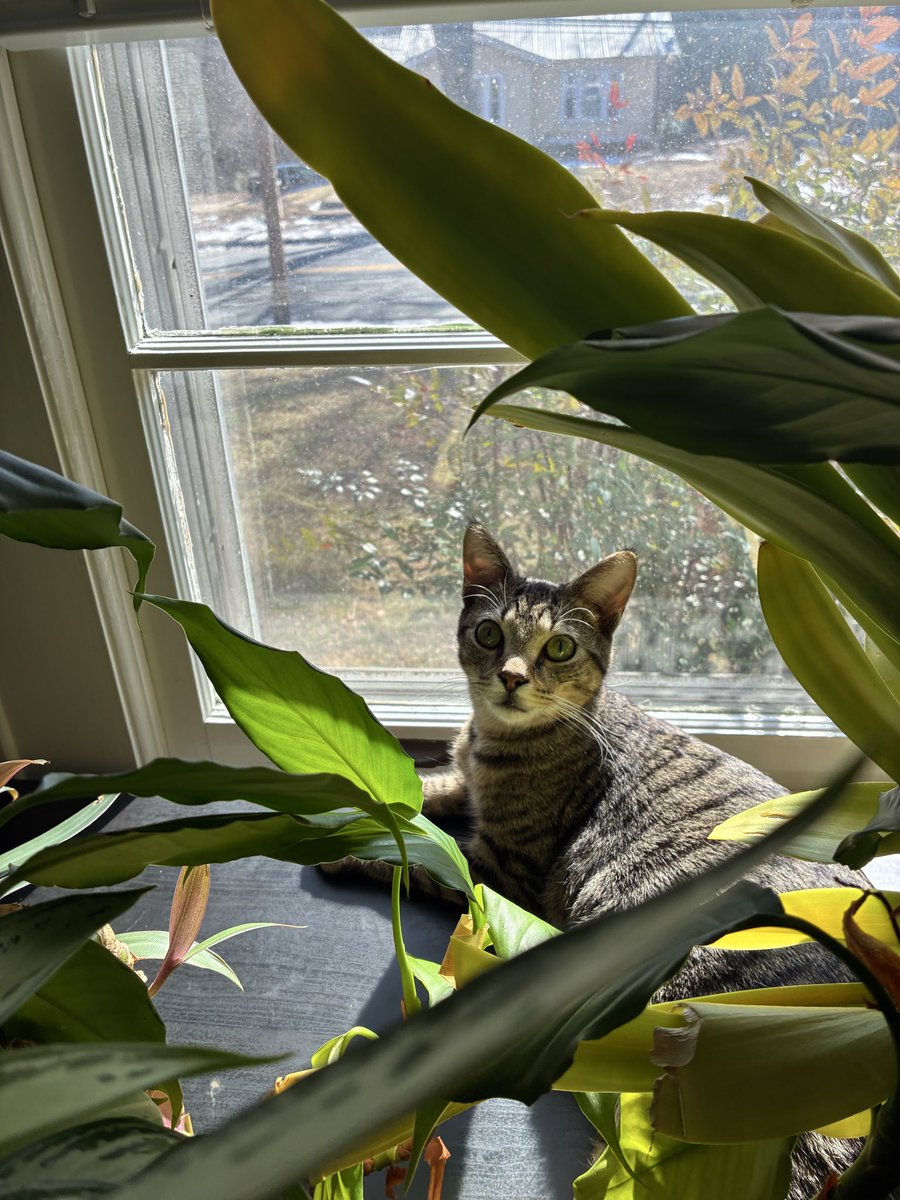 gabby🔻 pentin tweet media