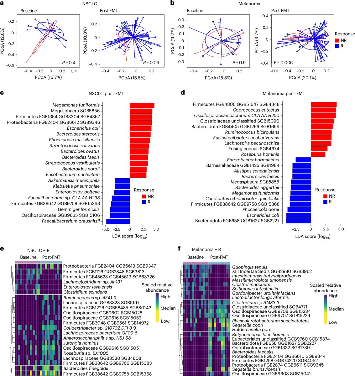 @GEMBIOTA_SEIMC tweet media