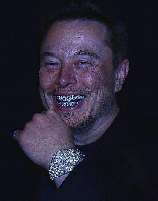 Not Elon Musk tweet media