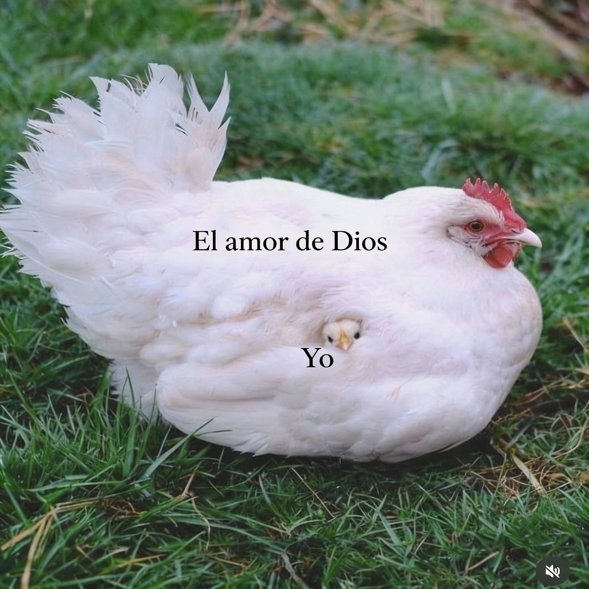 ojoalcielo_'s tweet photo. https://t.co/4ZqXM3Da7Y