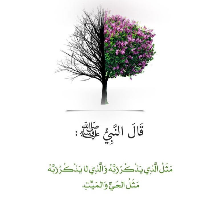 7smsm7_'s tweet photo. الوتر ..♡ https://t.co/ttlJKpKbDs