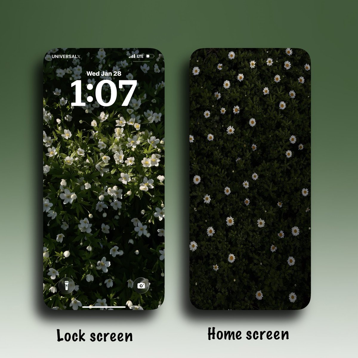 Universal4karts's tweet image. Field of Gold 🌼