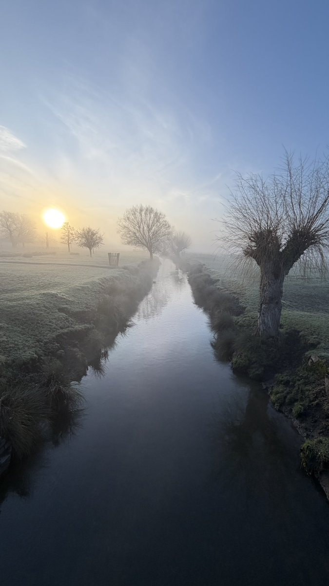 Amanda Boardman tweet media