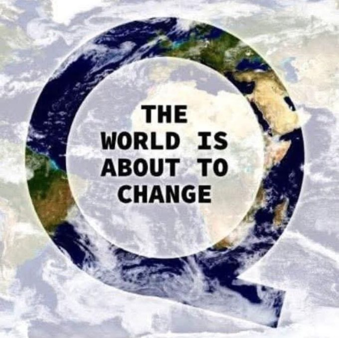 Q ™️ tweet media