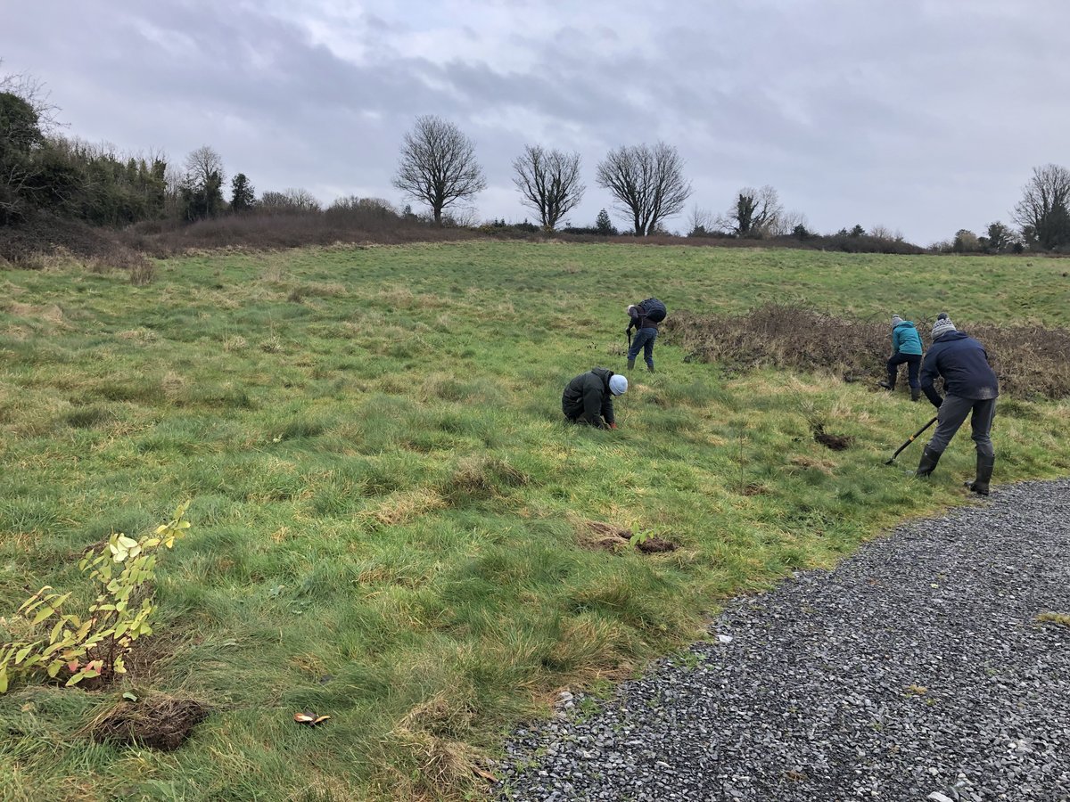 Native Woodland Trust tweet media