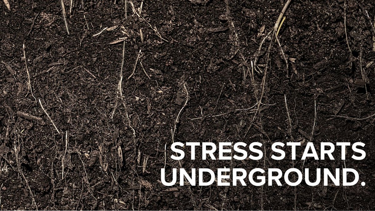 CID Bio-Science tweet media