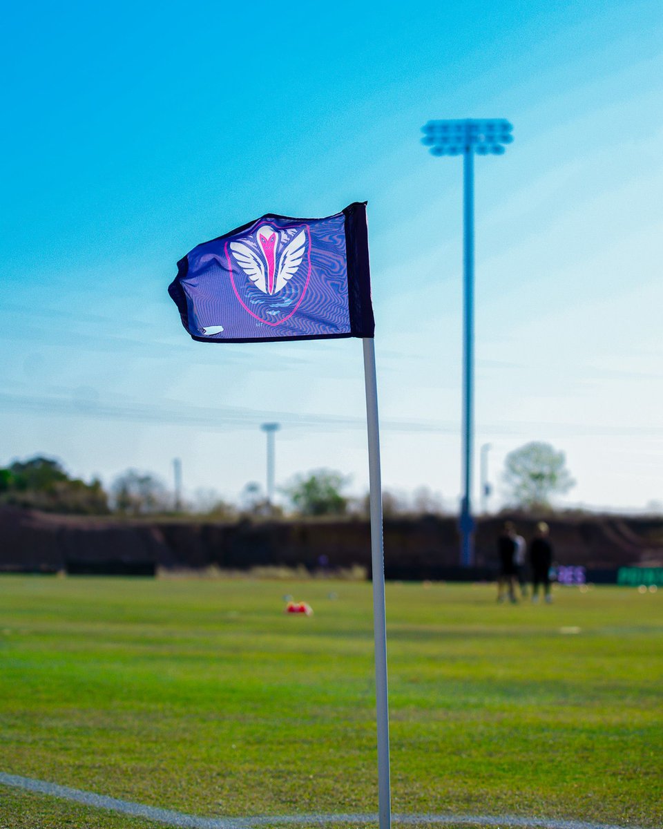 South Georgia Tormenta FC tweet media