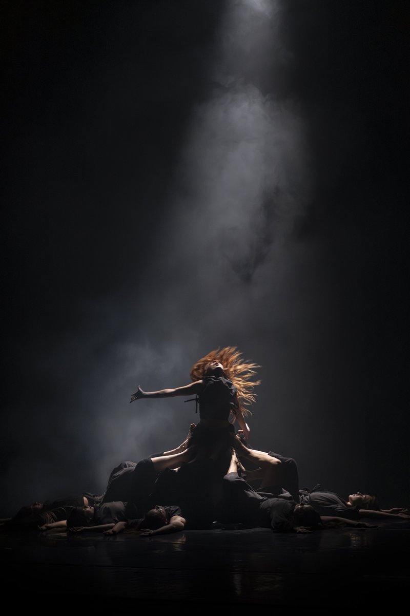 Instituto Nacional de Bellas Artes y Literatura tweet media