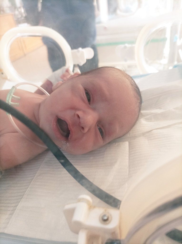 _nesmam's tweet image. STOP You are not selfish‼️
My baby, 12days old after birth, can't breastfeed from her mother me. And I have to buy milk for him and diapers. 

If you care about this Please Donate you are my last hope
  Reply with a dot pls

gofund.me/2e0da262e
Or
paypal.me/mohajayyab