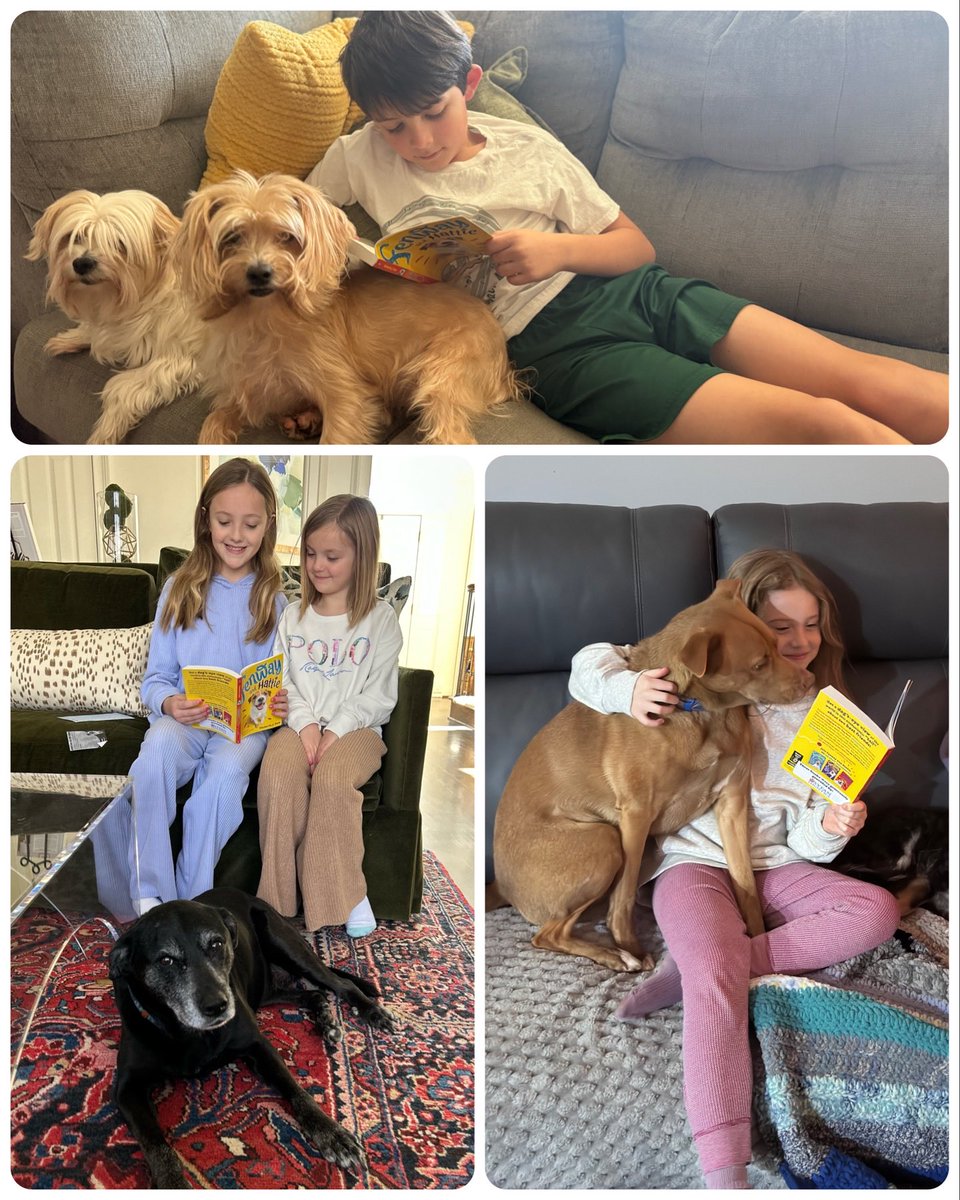 Jill Borg tweet media