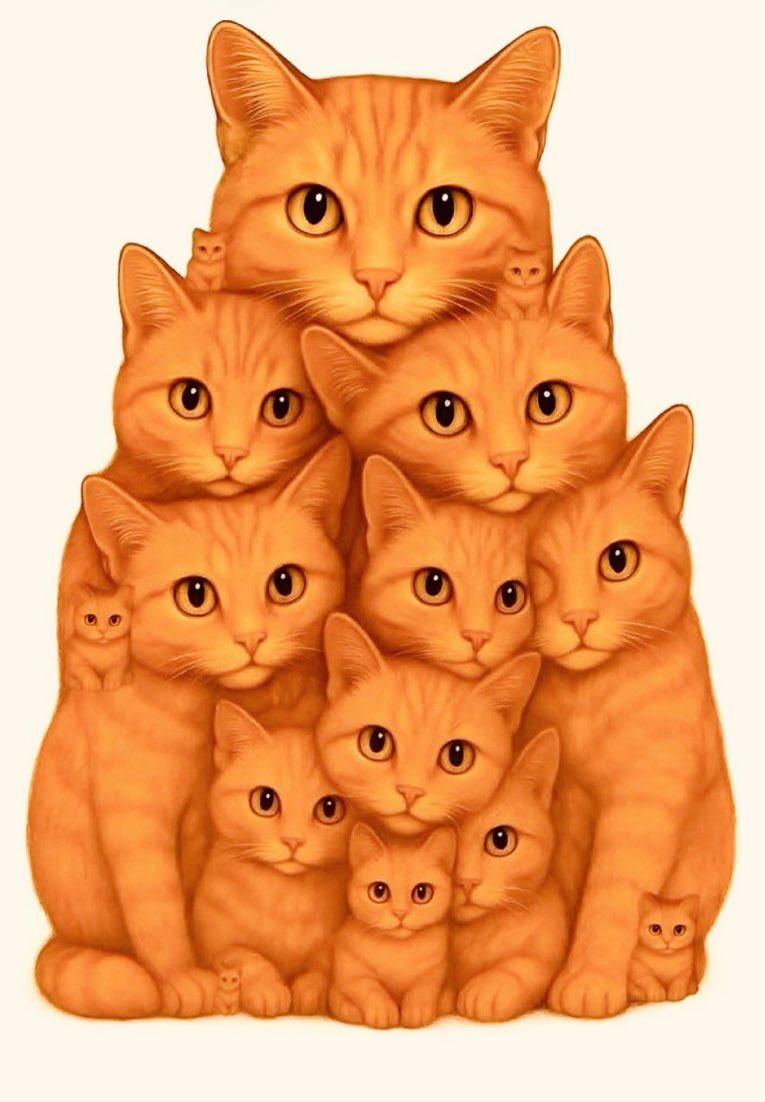 الكايد tweet media