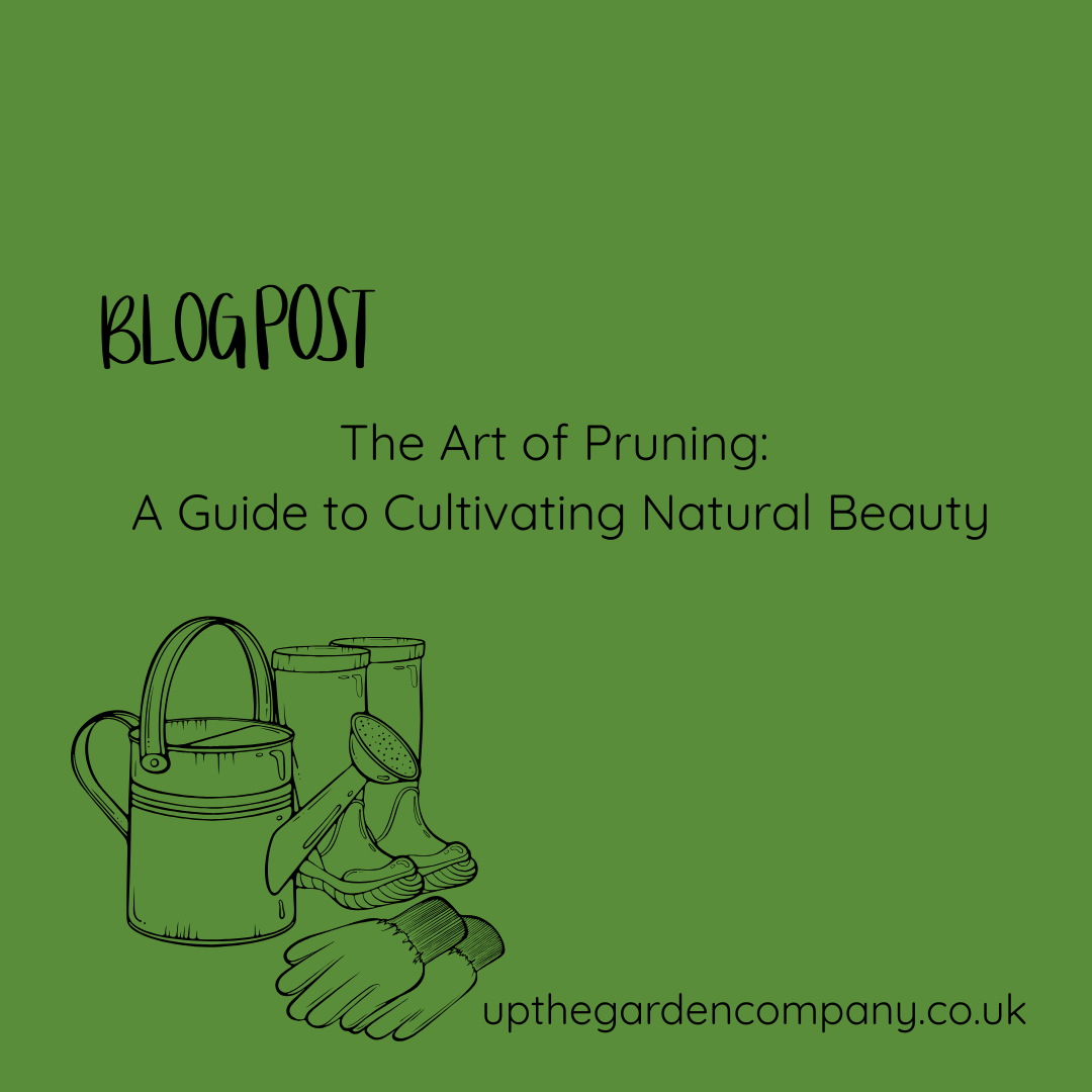 UpTheGardenCo's tweet photo. Pruning is as much an art as it is a task. 
https://t.co/qkvuHS7ns6

#GardeningUK #TheArtOfPruning #GardenKnowledge #BritishGardens #GrowWithCare #GardenInspiration #ThoughtfulGardening #UpTheGardenCompany #pruning #howtoprune #gardenpruning #gardenskills https://t.co/UPCte40E0t