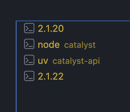 you have 2 claude code instances in different versions, but the older one is going so well, that you dont want to close it and re-open with /resume :-)