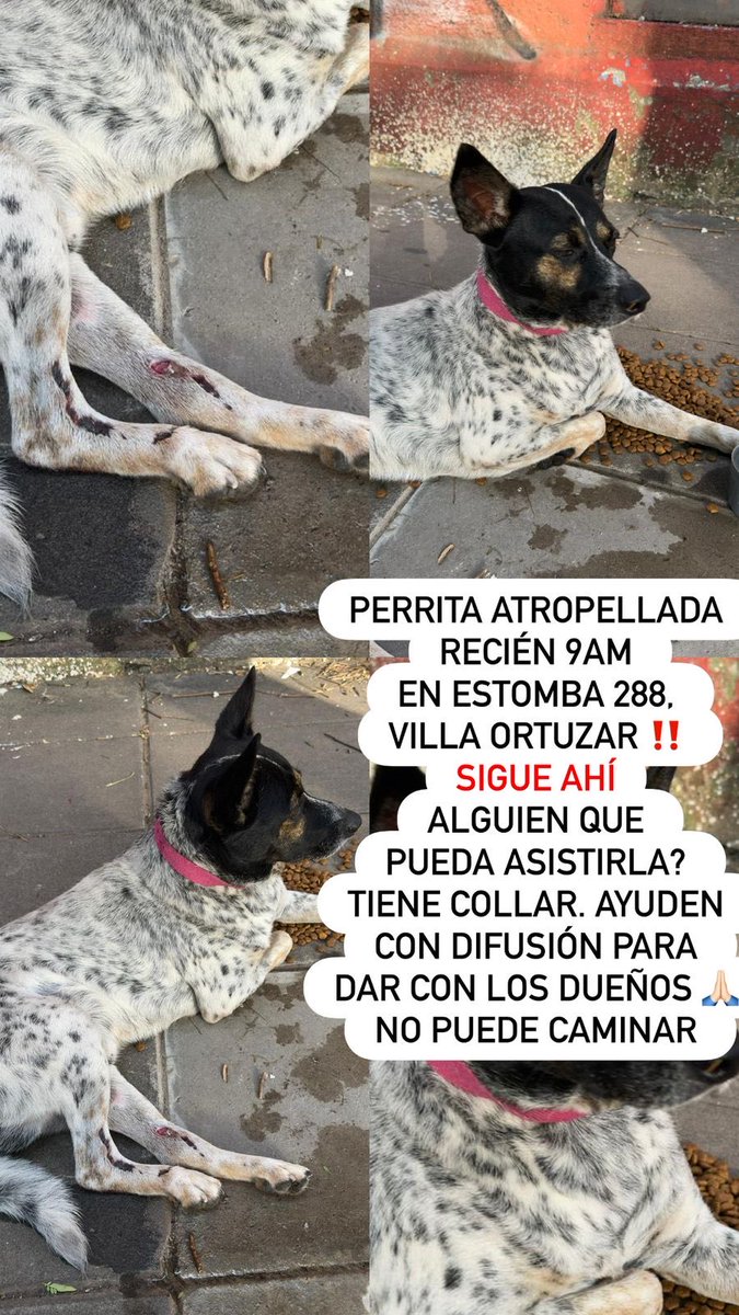 Alguien q pueda asistirla🙏🏽