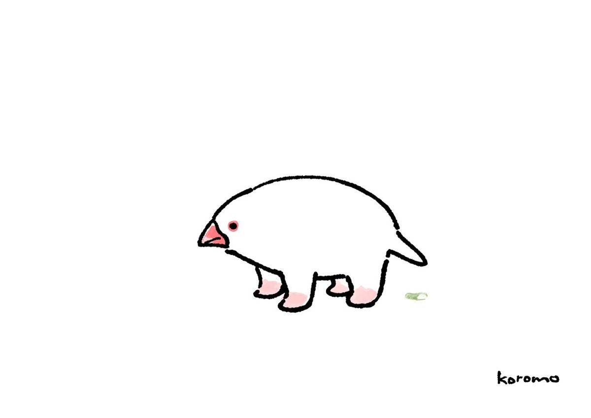 opipi_omame's tweet photo. 文鳥だね https://t.co/SHg2jEzZLT