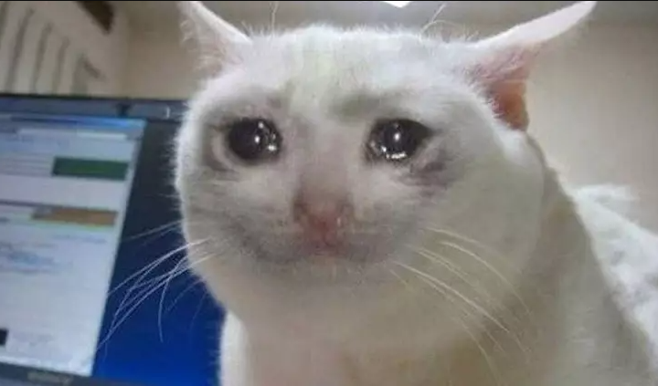 💕💖SavannahFaerie 💖💕 tweet media