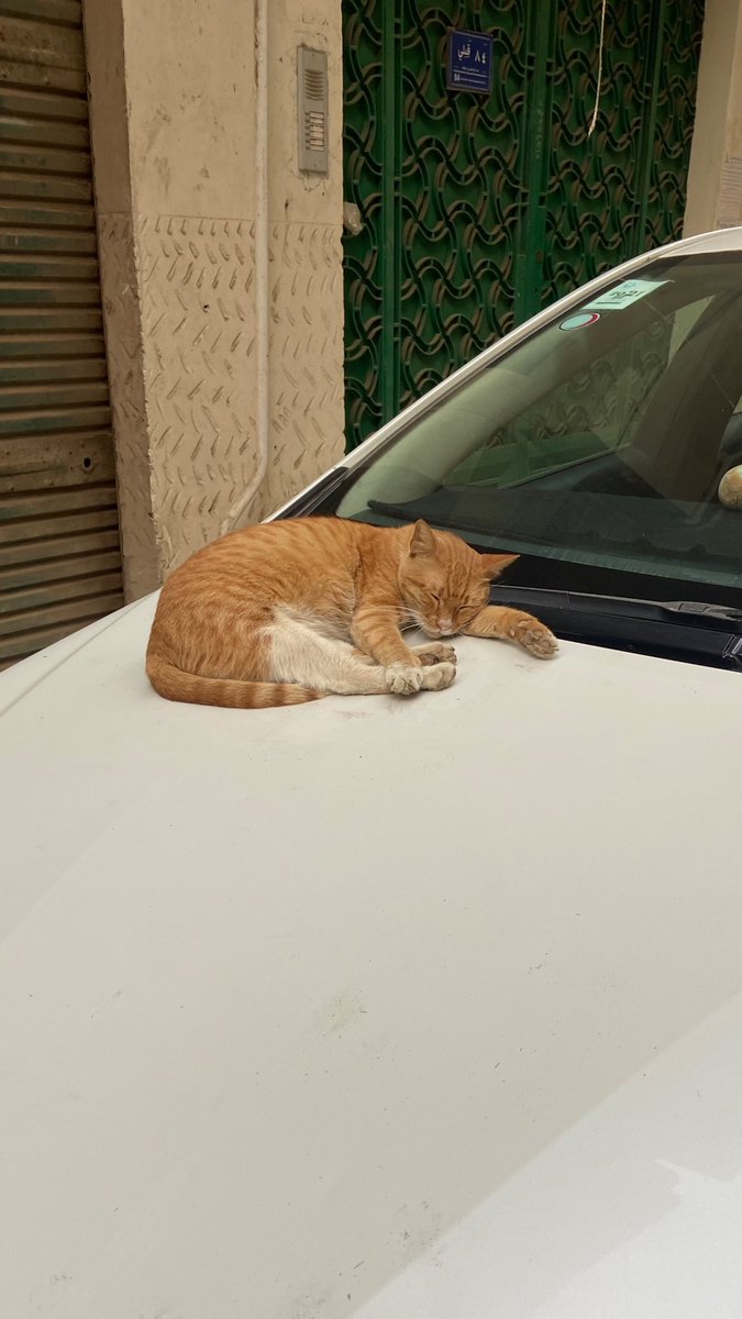 dphp1199's tweet image. 