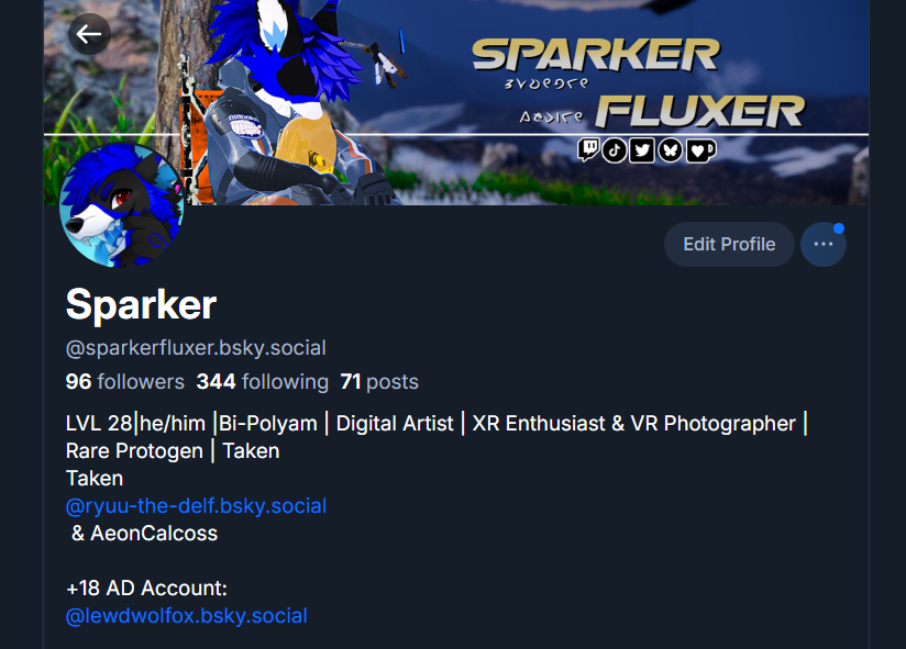 Sparker Fluxer⚡️ tweet media