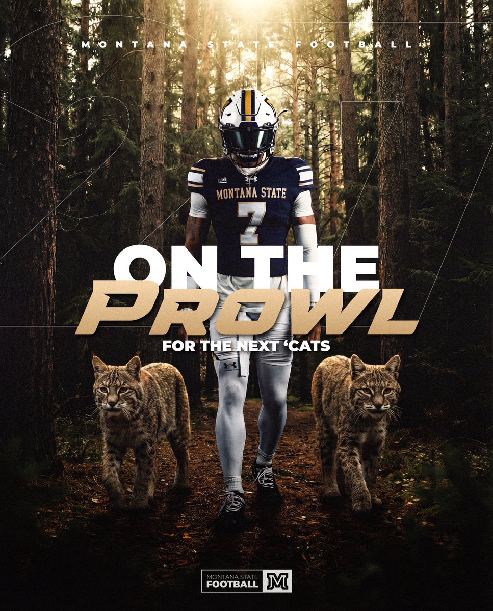 Montana State Football Recruiting tweet media