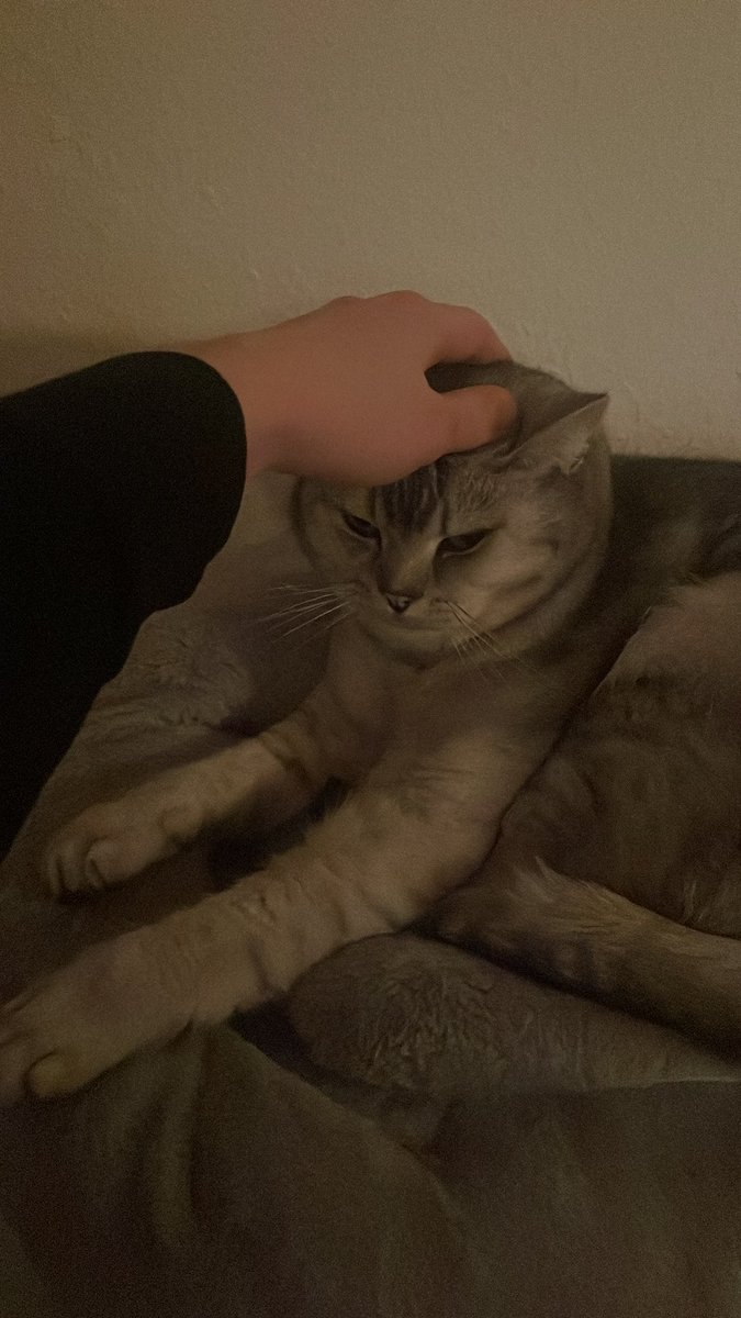 bb0x ♪ tweet media