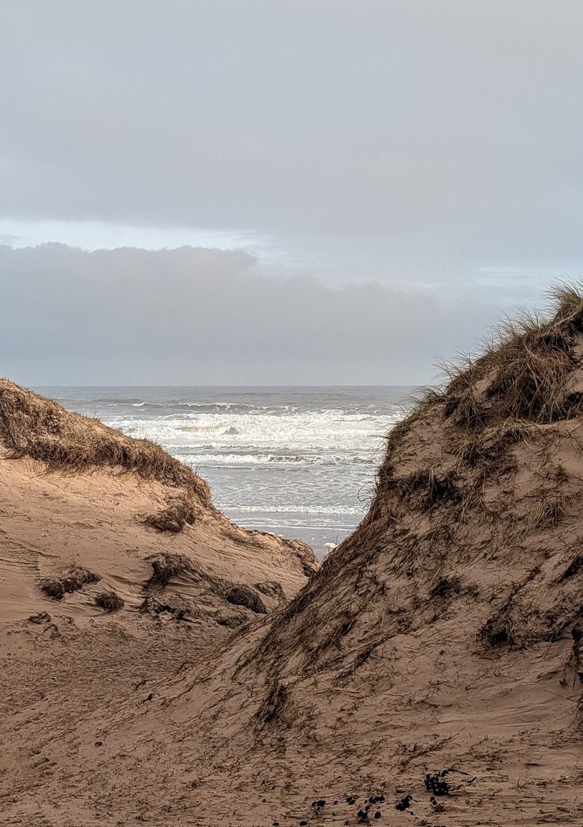 JimiJimirae's tweet photo. After the biking, came the beach...👣🐾🐾⛅🌊🫧🏖️🏰
#LunanBay #Angus #BaneOfMyLife #JustWalkIt https://t.co/LFHZFVHmNu
