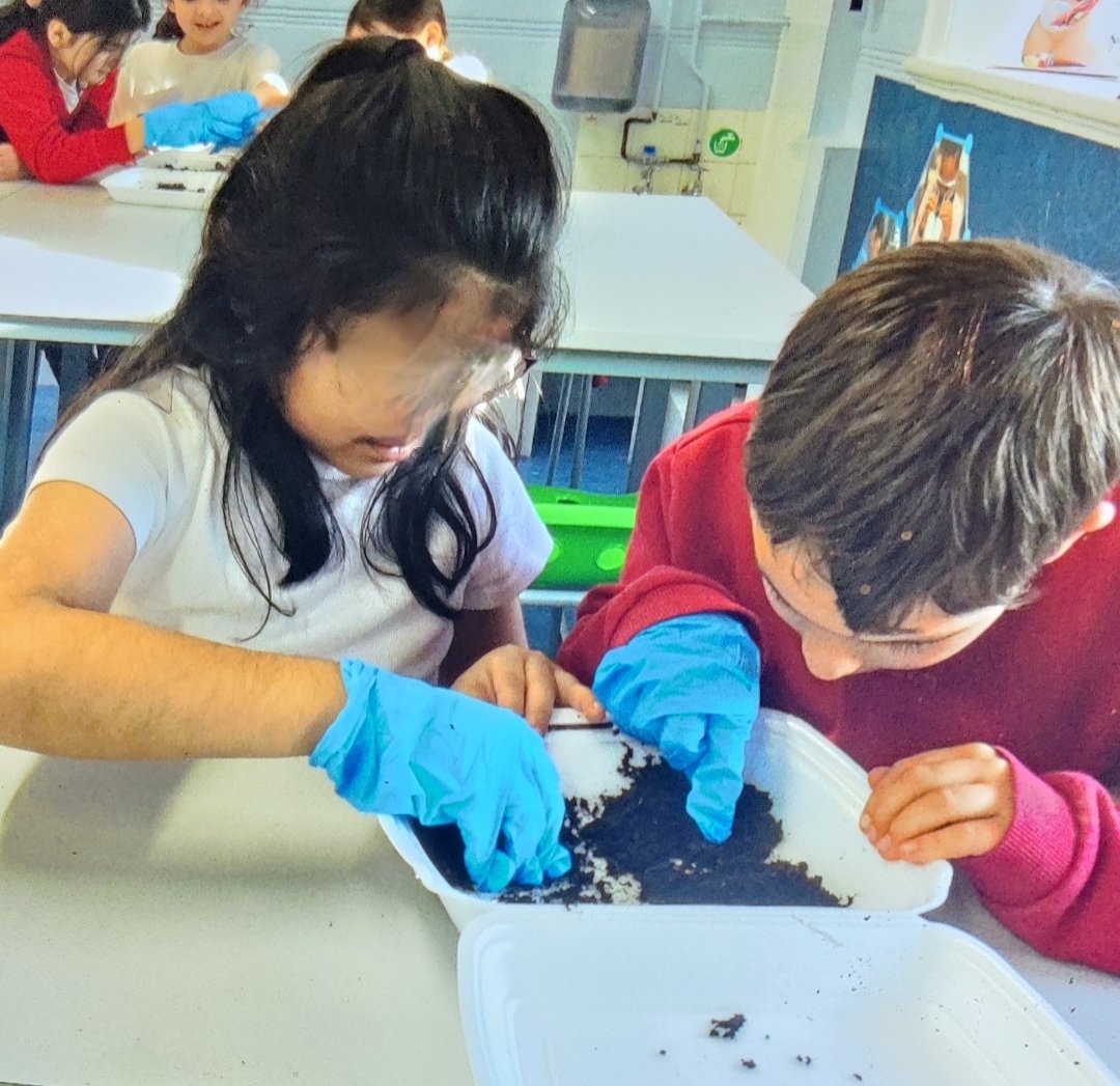 Ray Lodge Primary School (Strive 4 Academy Trust) tweet media